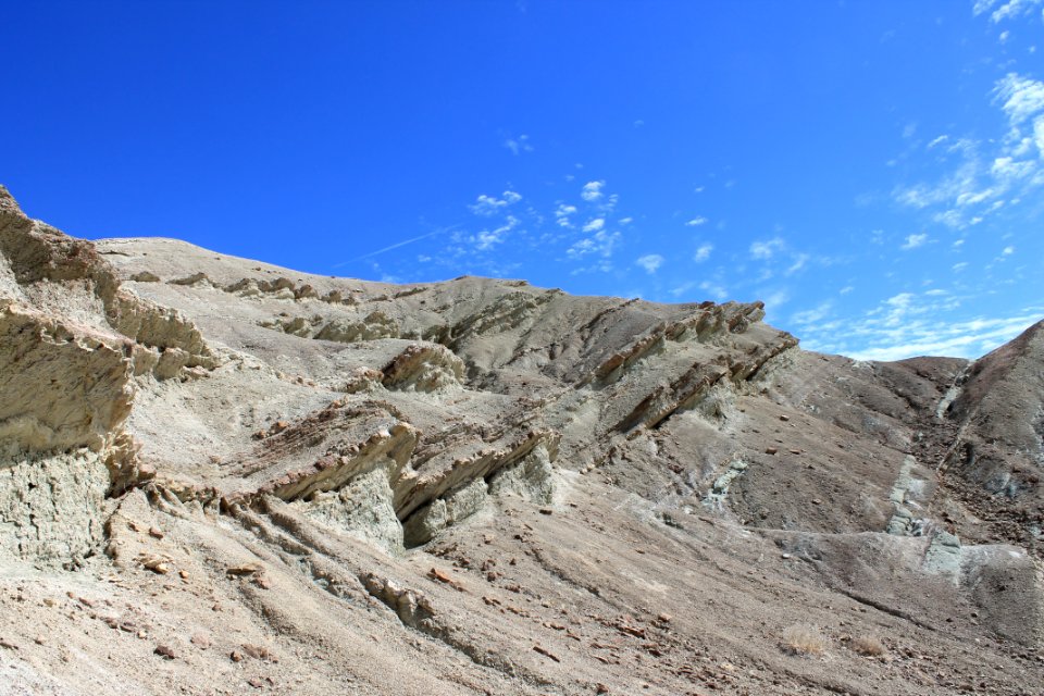IMG 0388