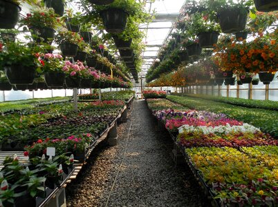 Plant green gardening