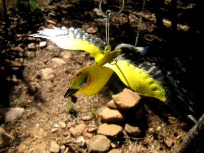 Painted Metal Birds