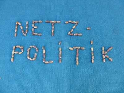 Netzpolitik