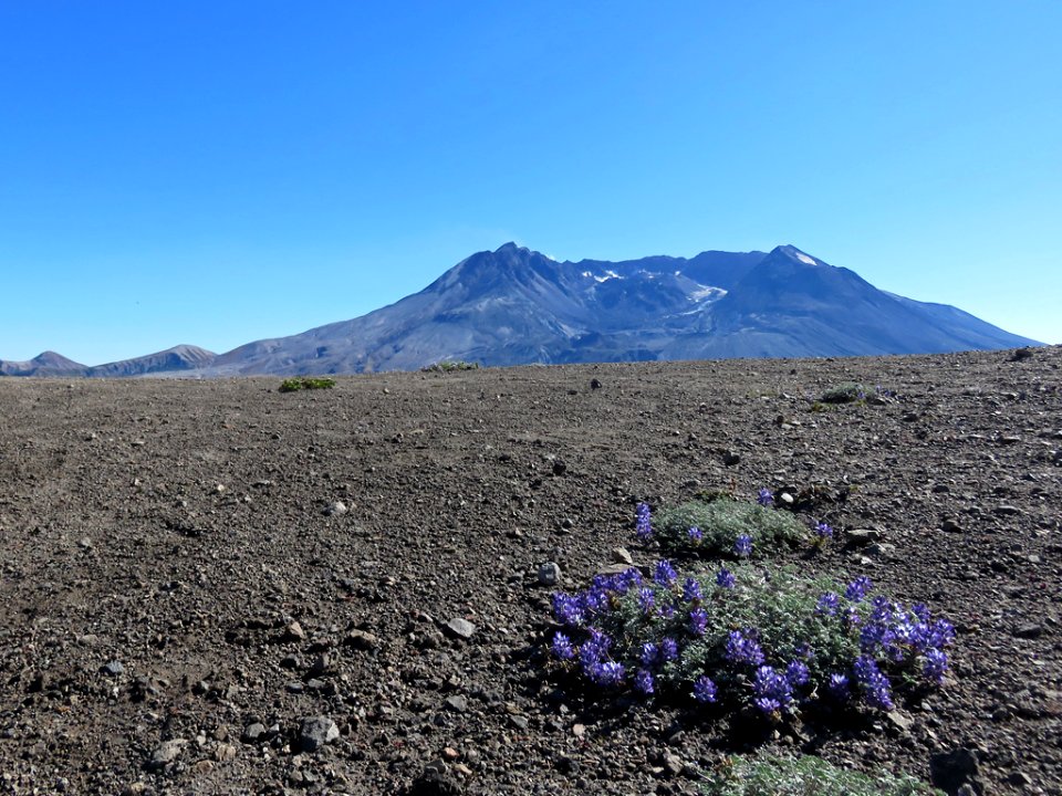 Mt. St. Helens NM in Washington