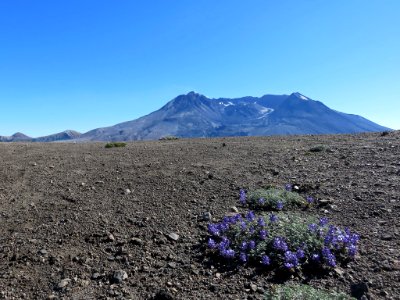 Mt. St. Helens NM in Washington