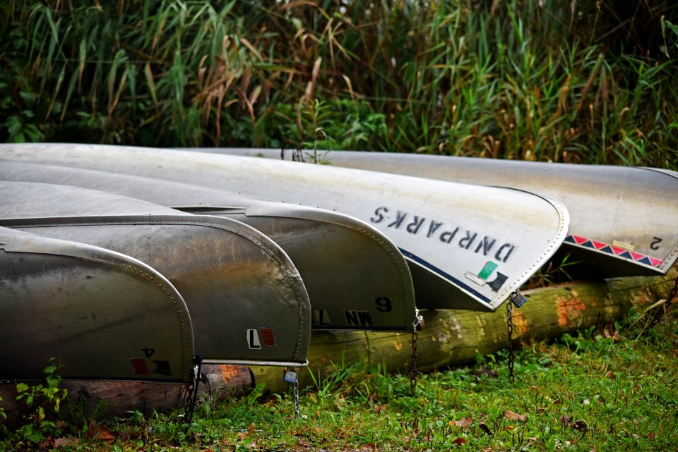 Canoes lined up near the shore at Lake Maria State Park