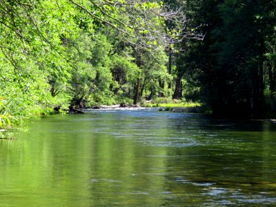 Merced River at Yosemite NP in CA