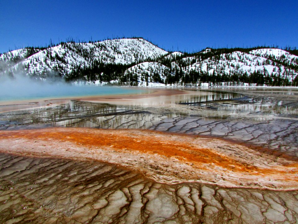 Yellowstone NP in WY