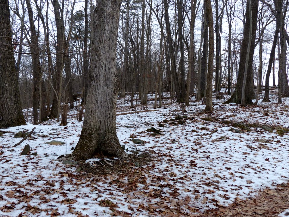 Murphy-Chambers Farm in winter (Harpers Ferry NHP)