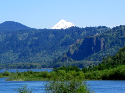 Steigerwald Lake NWR in WA