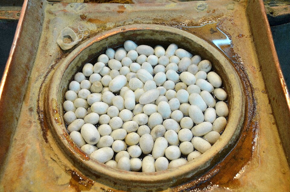 Sliced white brown