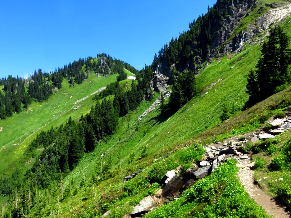 Hidden Lake Trail at North Cascades NP in WA