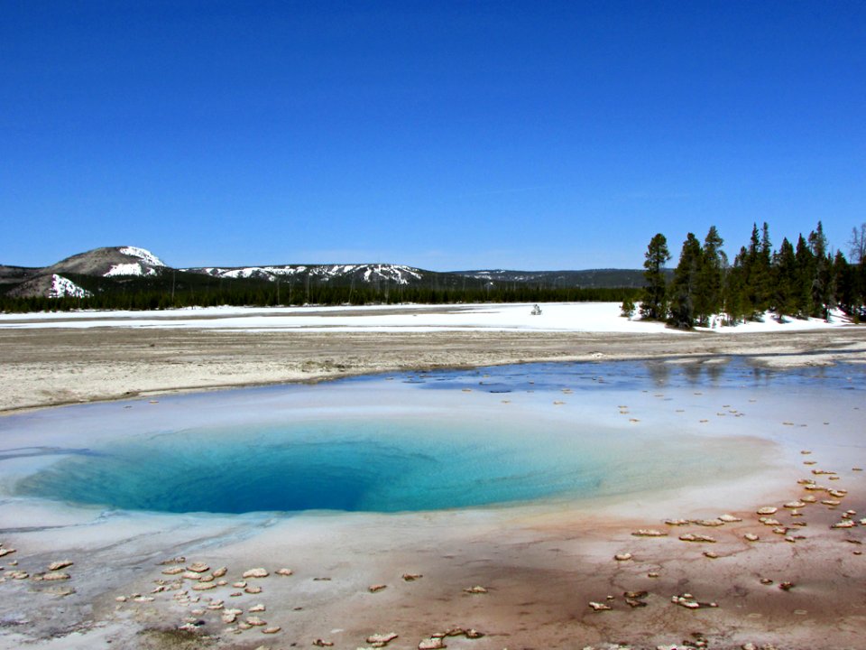 Yellowstone NP in WY