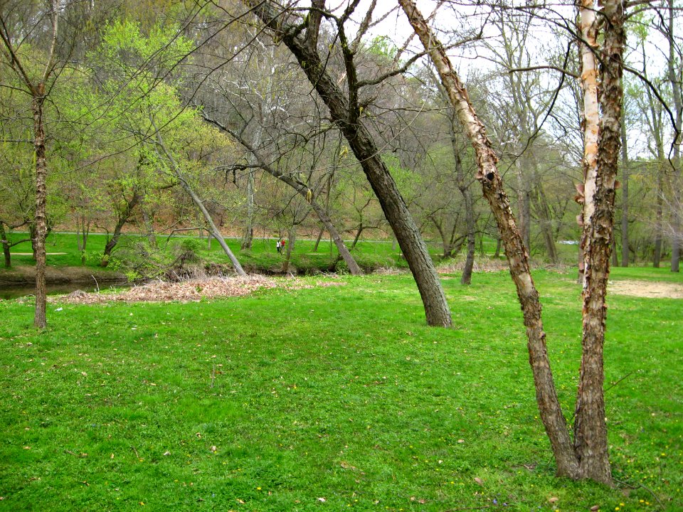 Rock Creek picnic area in floodplain