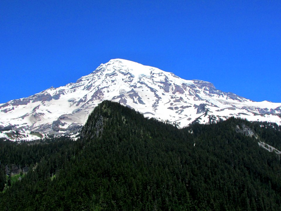 Mt. Rainier NP in WA
