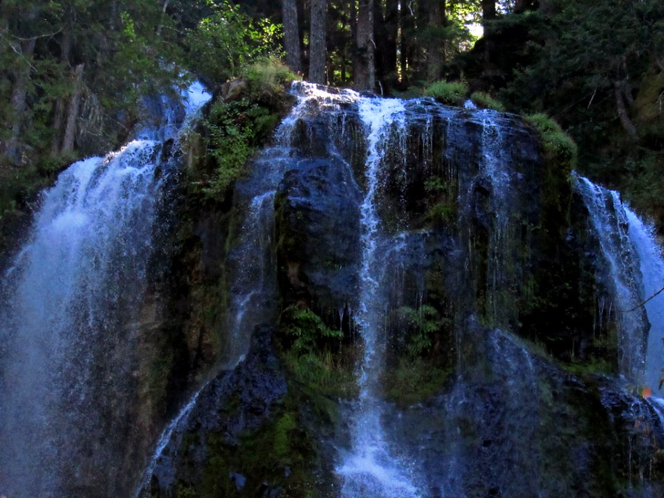 Falls Creek Falls Trail at Gifford Pinchot NF in WA