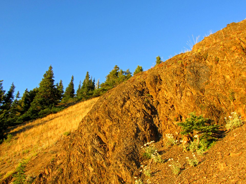 Hurricane Ridge at Olympic NP in WA