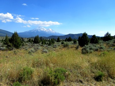 Mt. Shasta in California