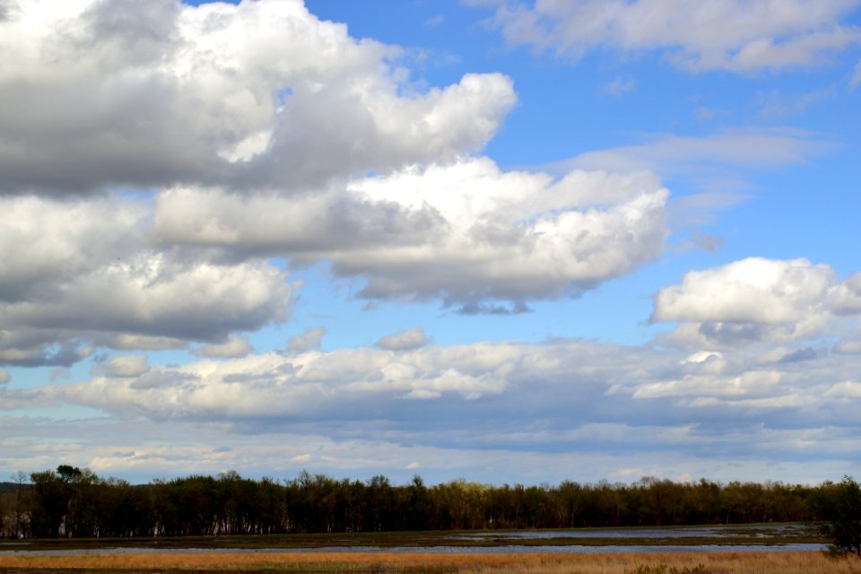 Two Rivers National Wildlife Refuge photo