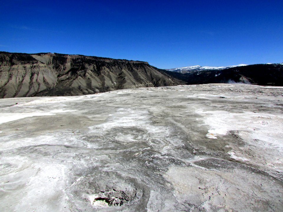 Yellowstone NP in WY
