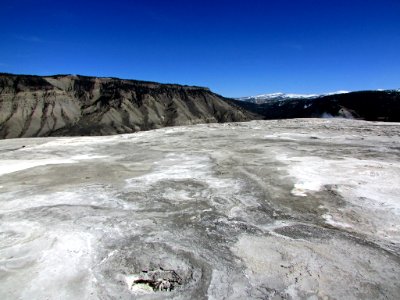 Yellowstone NP in WY