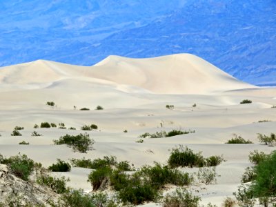 Sand Dunes at Death Valley NP in California photo