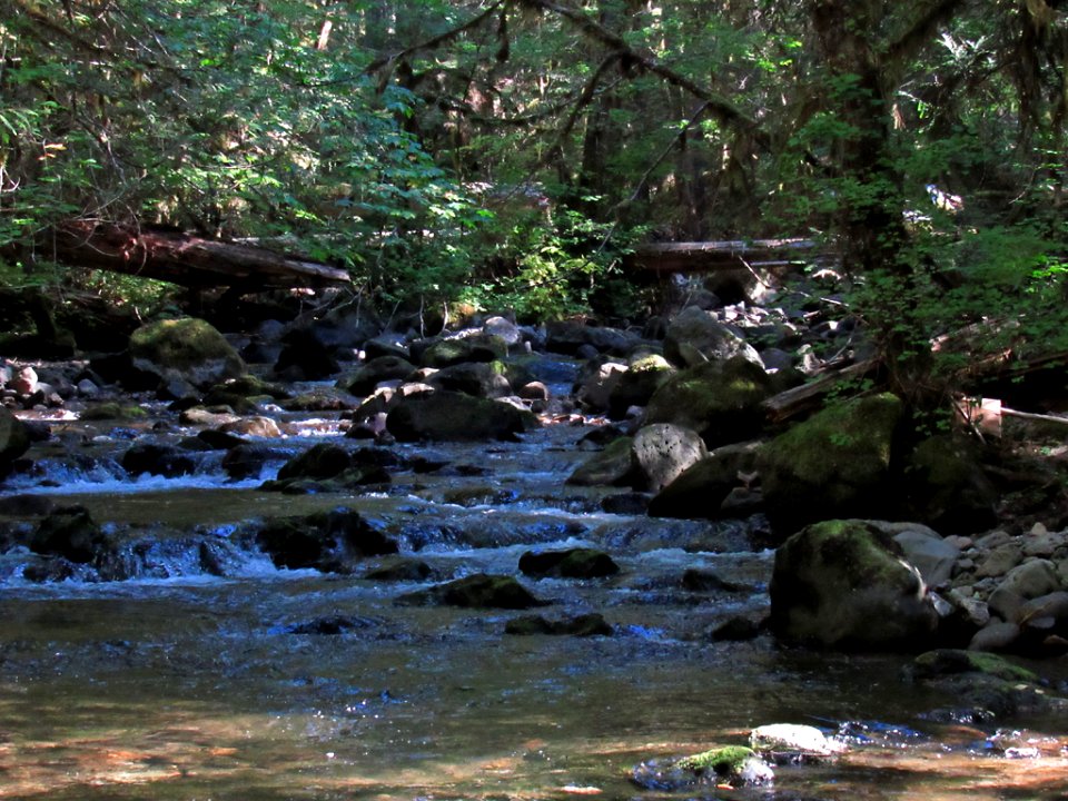 Falls Creek Falls Trail at Gifford Pinchot NF in WA