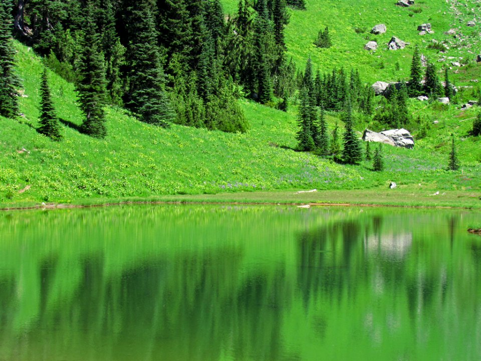 Tipsoo Lake at Mt. Rainier NP in WA