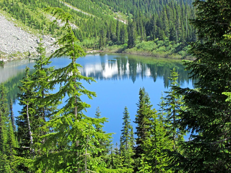 Louise Lake at Mt. Rainier NP in WA