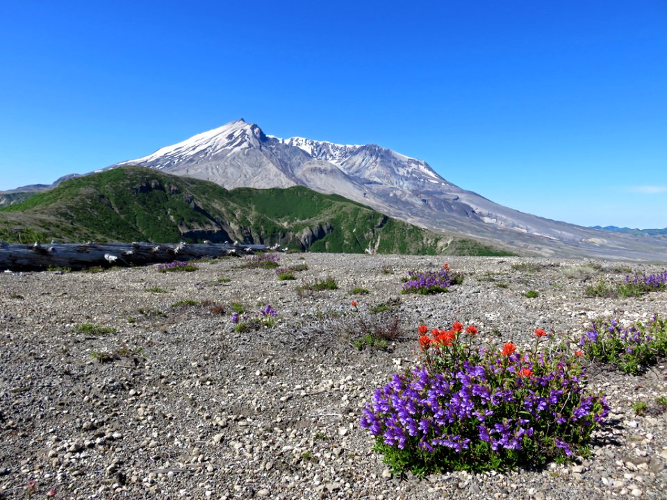 Windy Ridge at Mt. St. Helens NM in WA