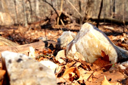 Quartz rock photo