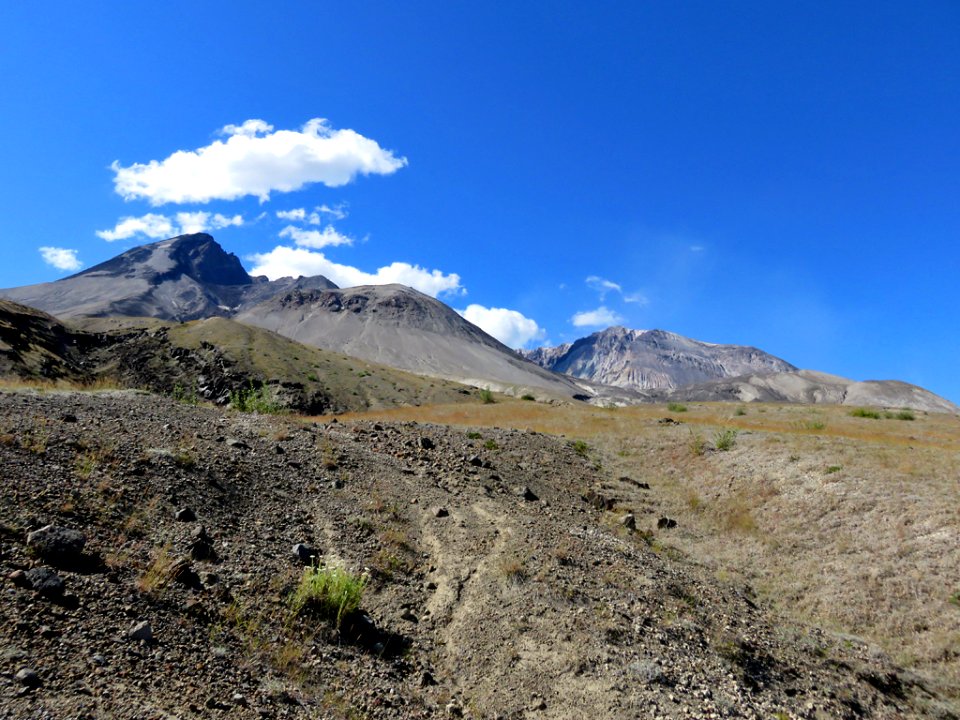 Truman / Loowit Trail at Mt. St. Helens NM in WA