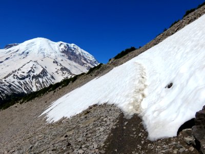 Mt. Rainier NP in Washington photo