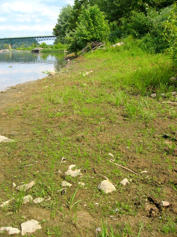 Riverbar Drawdown Shore at Harpers Ferry NHP