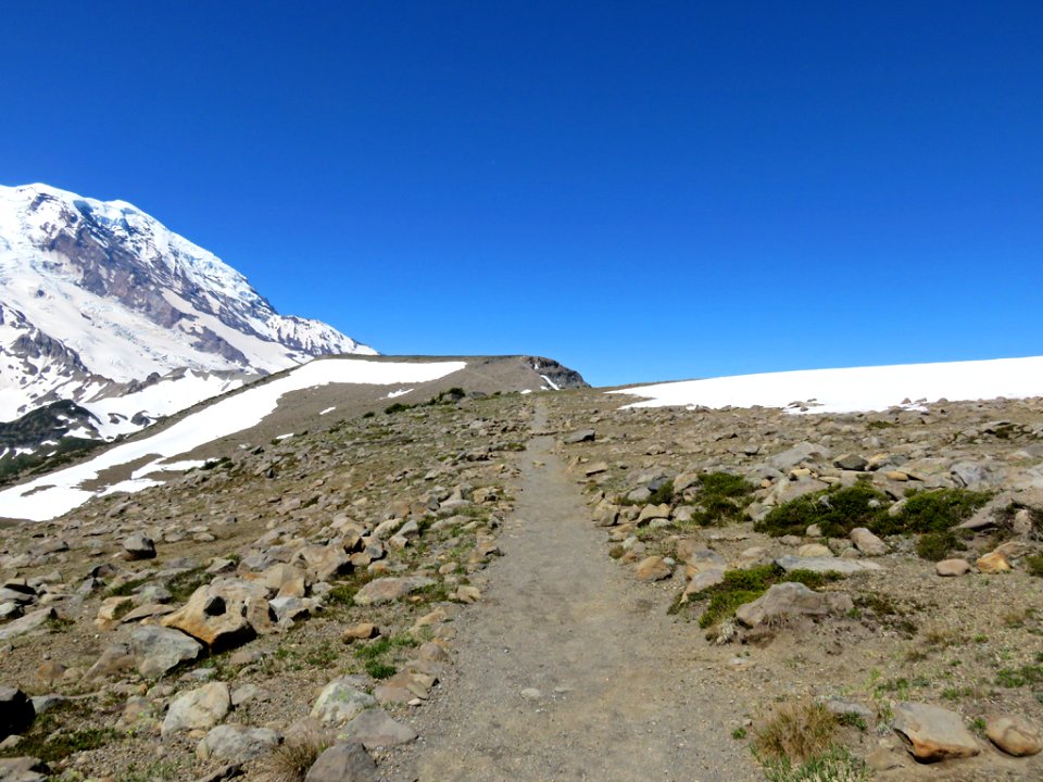 Mt. Rainier NP in Washington