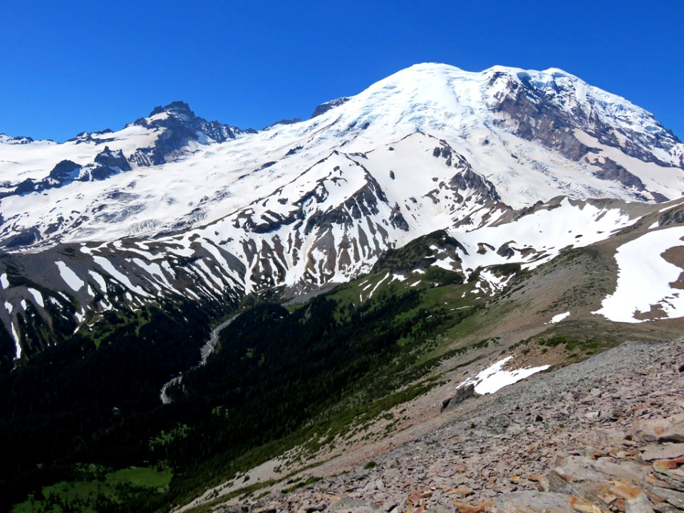 Mt. Rainier NP in Washington