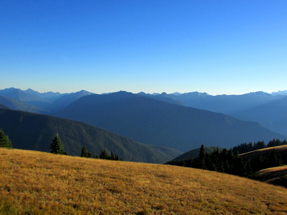 Hurricane Ridge at Olympic NP in WA