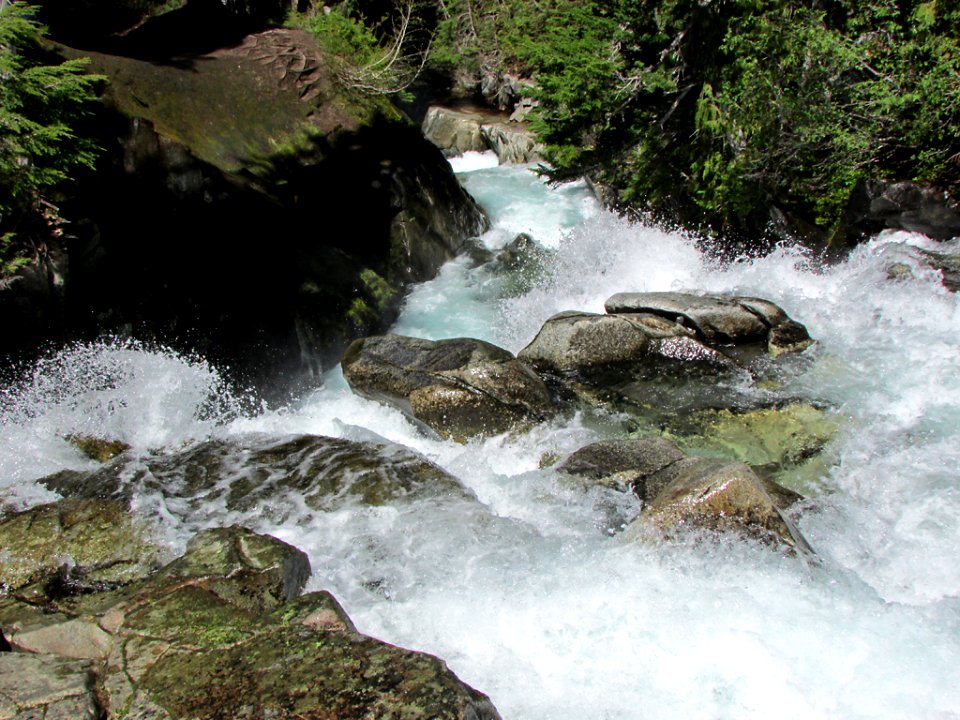 Mt. Rainier NP in WA