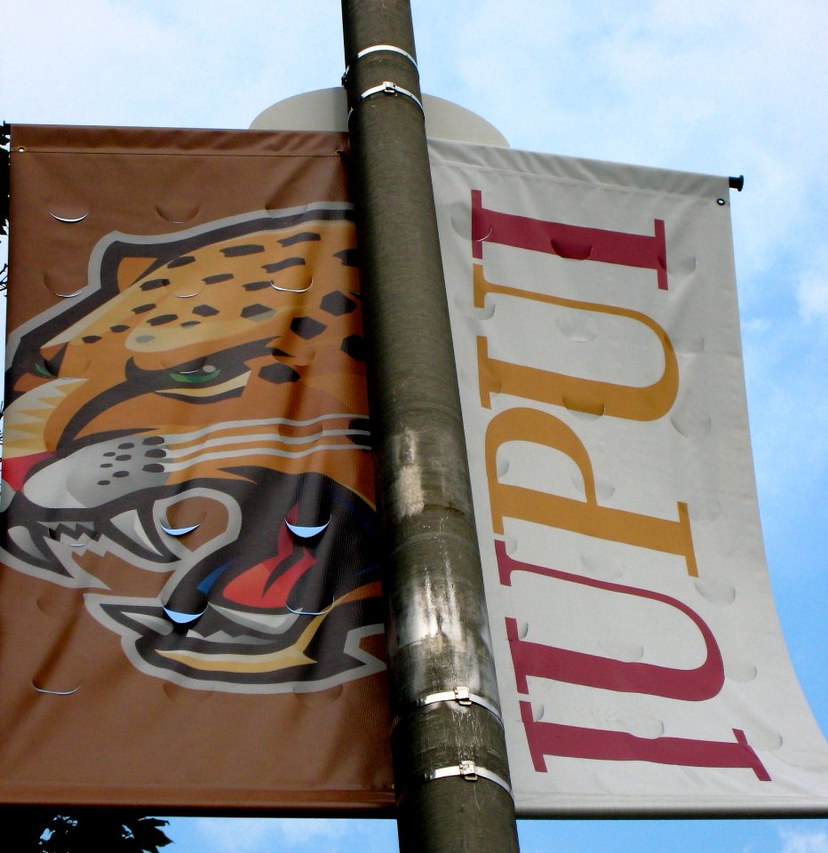 Home of the Jaguar