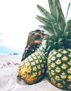 Picnic leisure fruit