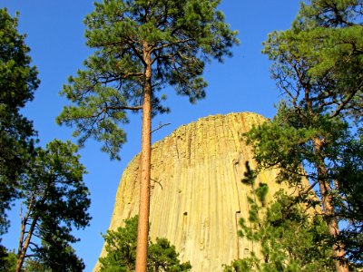 Devils Tower NM in WY