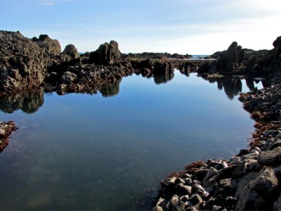 Tide Pool at Yaquina Head in Newport, OR photo