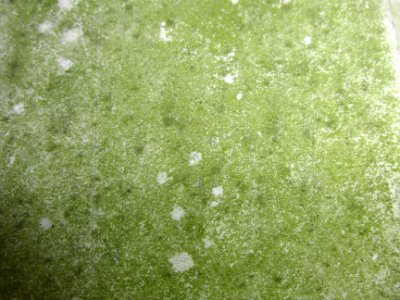 Hintergrund