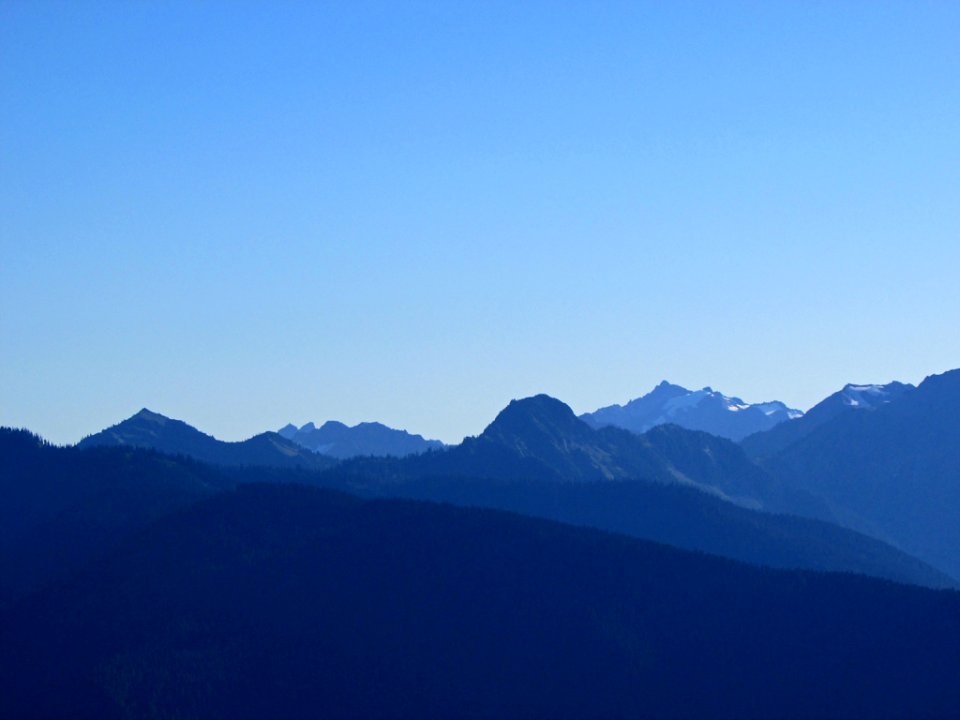 Hurricane Ridge at Olympic NP in WA