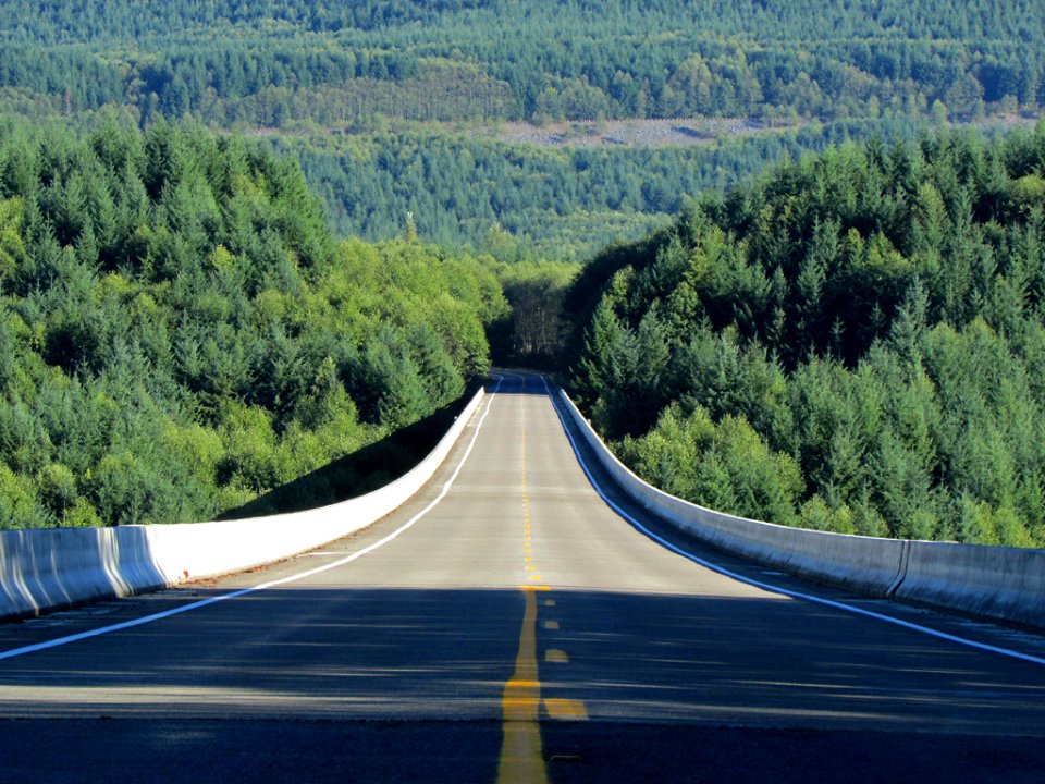 Hoffstadt Bridge in Washington