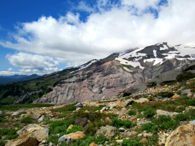 Paradise Skyline Trail at Mt. Rainier NP in WA photo