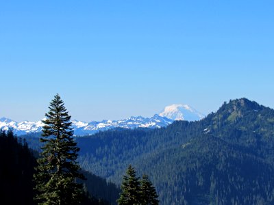 Mt. Rainier NP in Washington photo