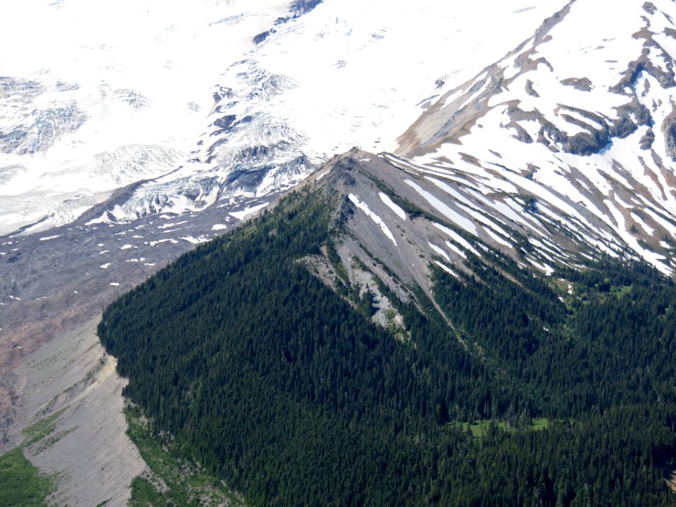 Mt. Rainier NP in Washington