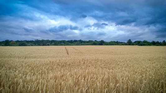 Nature landscape earth