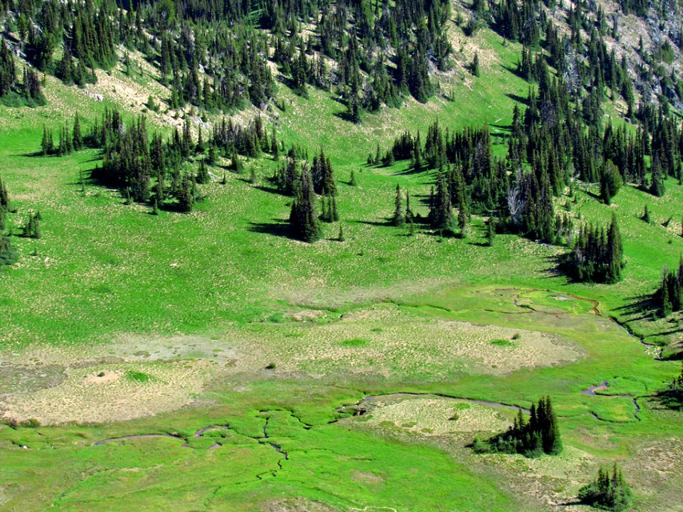 Mt. Rainier NP in WA