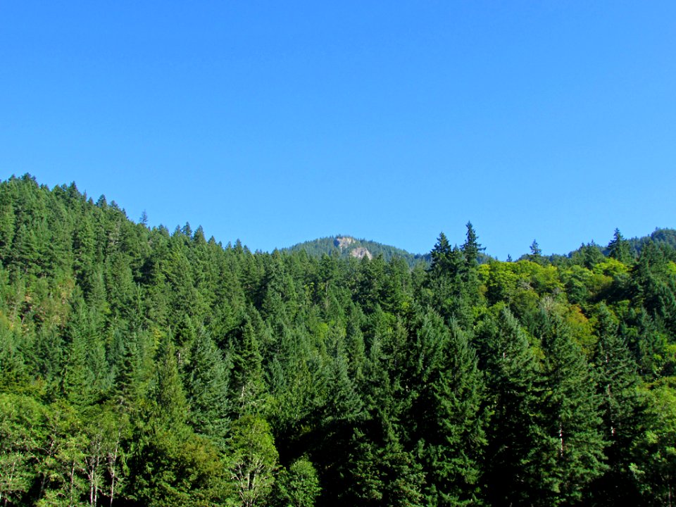 Hurricane Ridge at Olympic NP in WA