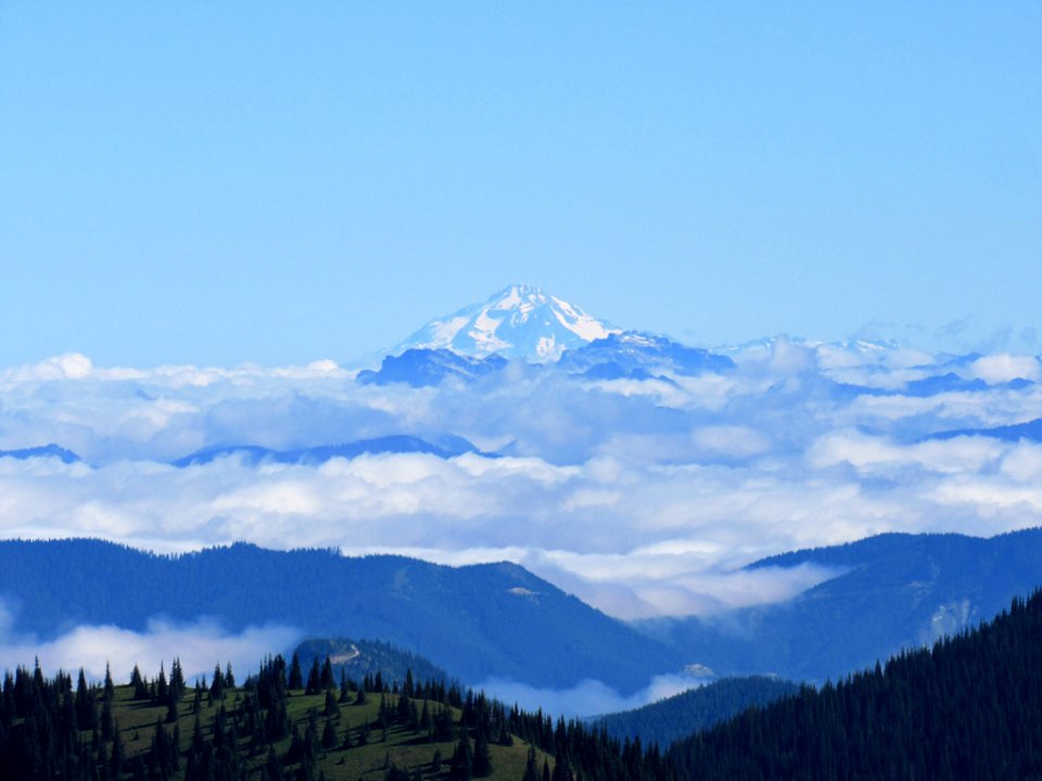 Mt. Rainier NP in WA