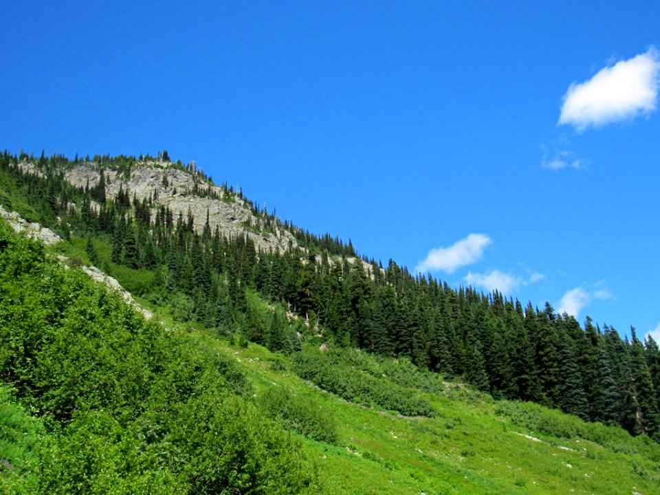 Maple Pass Trail at North Cascades NP in WA